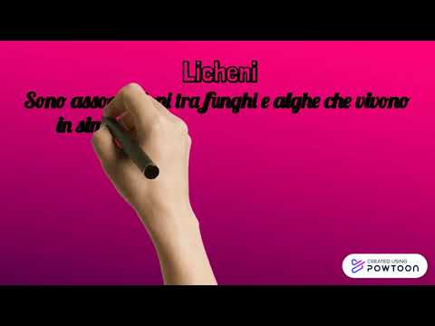 "I Funghi" creato da Neli Dimitrova