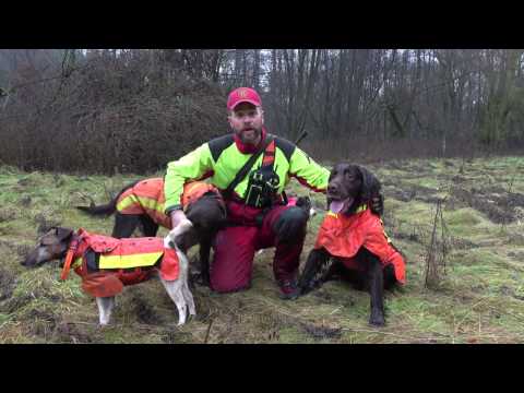 Saujagd mit Hunden auf Drückjagd - Jagdschule Schloss Lüdersburg