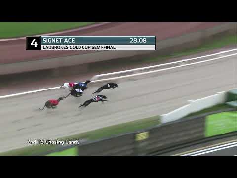 2021 LADBROKES GOLD CUP - 2ND SEMI - T4 SIGNET ACE