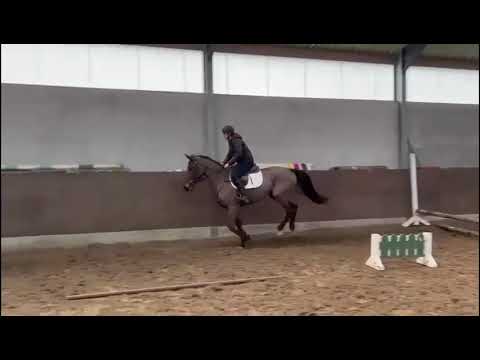 Parita vd Kapel under the saddle