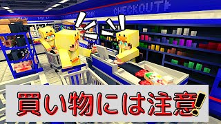 買い物には注意！商品名を見ないで買った者の末路【Minecraft】【Azªの日常】