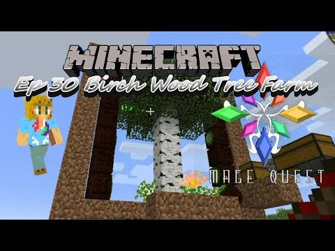 Minecraft Mage Quest --- Ep 30 Birch Wood Tree Farm