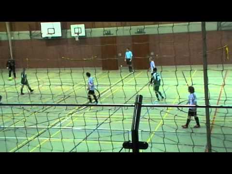 HKM Damen 2014 Großsporthalle Borken (Hessen) - "TuS Viktoria Großenenglis gg TSV Obermelsungen 3:0"