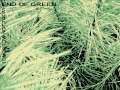 END OF GREEN - Tomorrow Not Today
