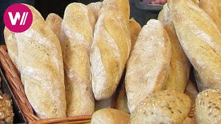 Maastricht - Healthiest Bread of the Netherlands  | What&#39;s cookin&#39;