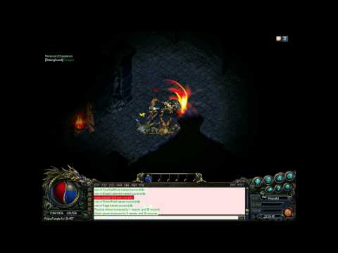 Legend of Mir Chronicles - Warrior Class