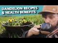 The Dandelion - A Medicinal Herb you should be Foraging!