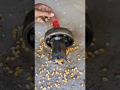 Unglaubliche Geschwindigkeit beim Maisschälen 😲 | Virales Video #shorts