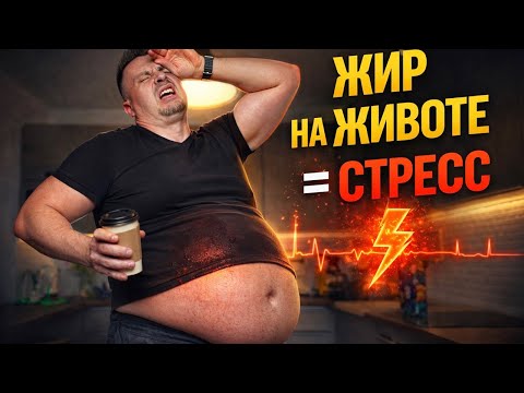 Почему жир на животе — это не про еду, а про стресс