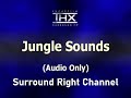 Jungle Sounds 5 1 THX Surround EX Audio Demonstration Surround Right Channel