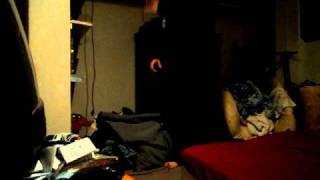 Saints- Destroy The Runner