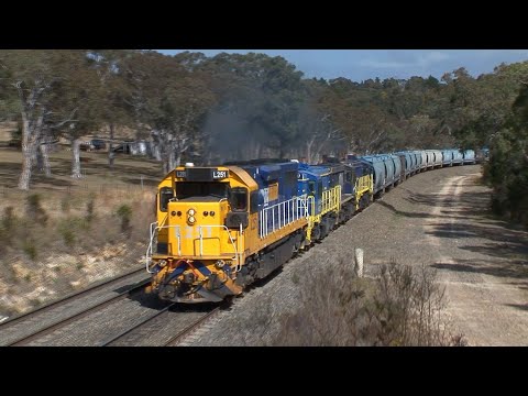 Australian diesel locomotives L251, 48217, 48100 & 48208 - Southern Highlands - August 2010
