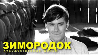 Зимородок (1972)