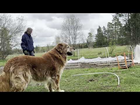 Kålnät, såga ved och vedklyv.