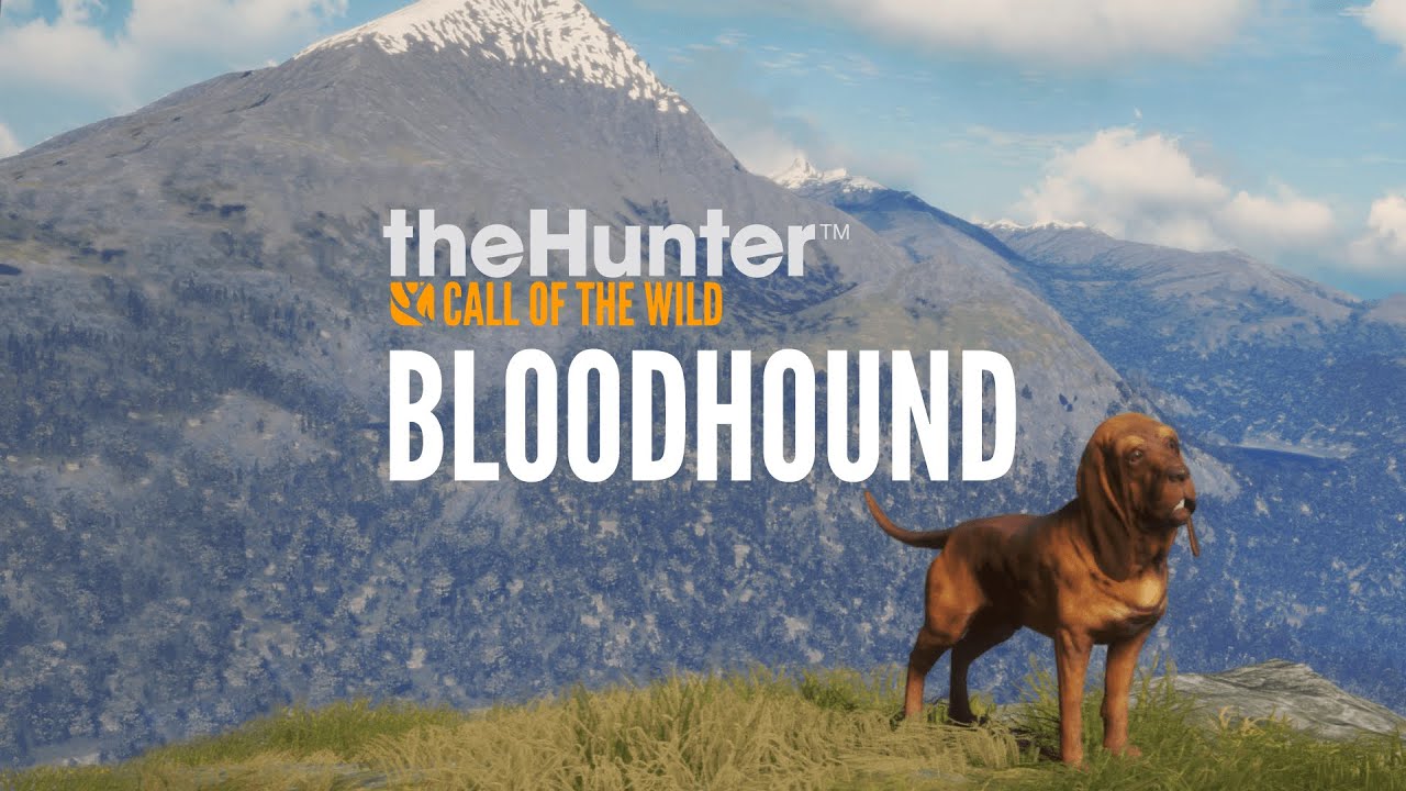 theHunter: Call of the Wild - Bloodhound PC Steam CD Key video 7