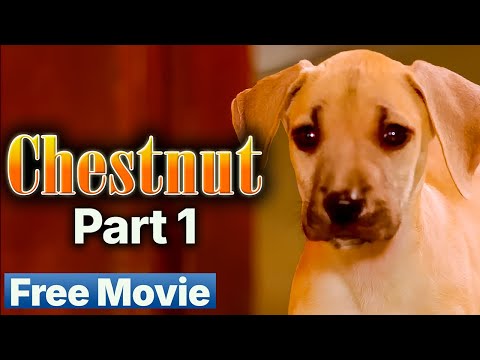 Chestnut: Hero of The Central Park - Chapter 01 Pilot | Official Movie