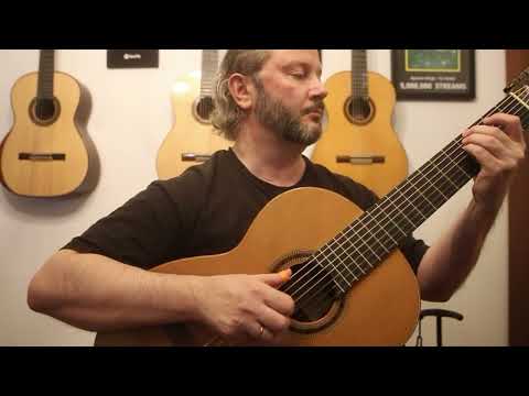 Agustín Amigó - "How Deep Is the Ocean" (Original) - 7-String Guitar