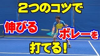 「２つのコツで伸びるボレーを打てる！」Tennis Rise テニス・レッスン動画