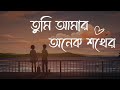 Tumi Amar Onek Shokher Piran Khan Ft Jony Lofi Remake তুমি আমার অনেক শখ�