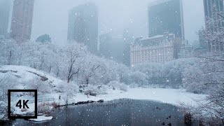 Snowfall in Central Park New York  Walking in Cent