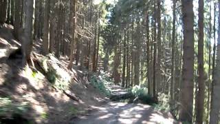 preview picture of video 'Tingva's hunt for Rotwild im Ruhrpott - ein MTB Multi (GC2KYPM)'