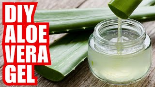 How To Detoxify Aloe Vera Leaves | Secret To Preserving The Gel For A Year
