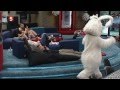 Rabbit fall (kanin faldet) Big Brother DK - YouTube