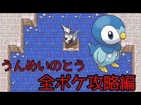 フロリバンダ 'イエロー メイラブ' 植物