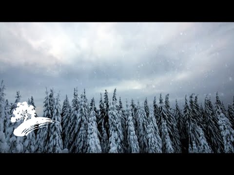 Best Of Green Hill Music - Piano Music For Christmas [Holiday Visualizer]