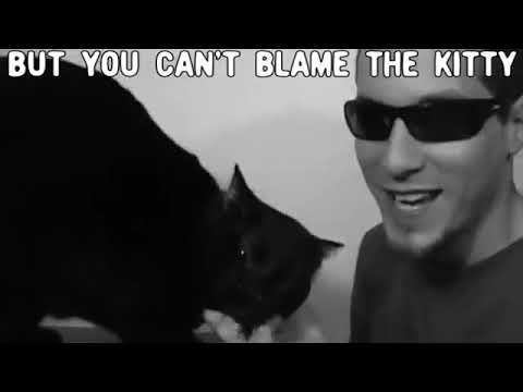 Kitty doesn't like... (reupload)