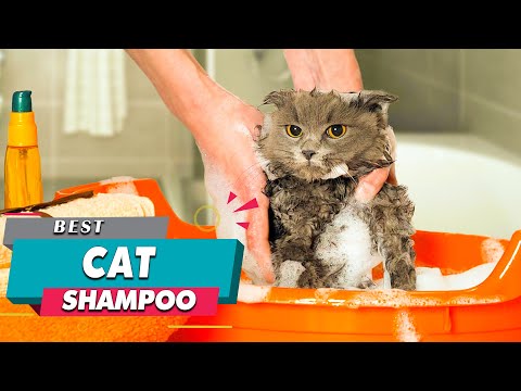 Top 5 Best Cat Shampoos Review in 2022 | Keep Clean & Stop Scratching