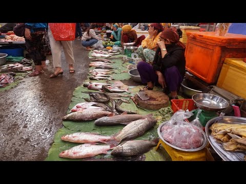 Compilation Phsa Located Follow Prek Cross The Bridge - Walking Tour Around Food Market On Morning