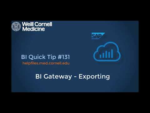 BI Quick Tip #131: How to Export Your Stories in the BI Gateway
