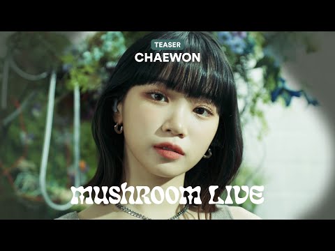 MUSHROOM LIVE S02 - CHAEWON TEASER