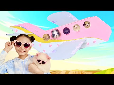 Airplane ! Bug's Puppies Vacation Trip | Little Big Toys