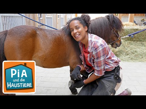 Ein Tag beim Hufschmied | Information für Kinder | Pia und die Haustiere | Spezial
