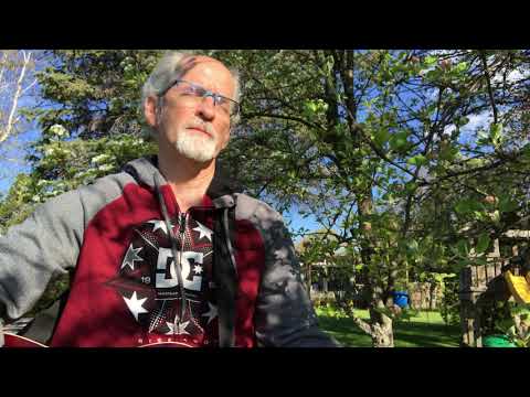 You Are My Strength O God - Michael Murray