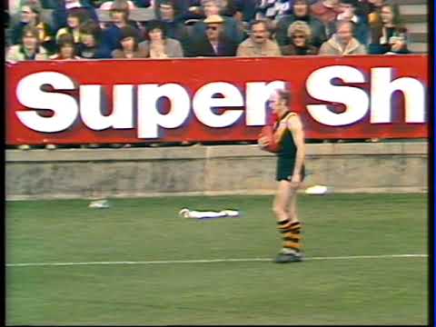 1982 VFL Second Semi 3rd quarter Rich Vs Carlton VFL PARK