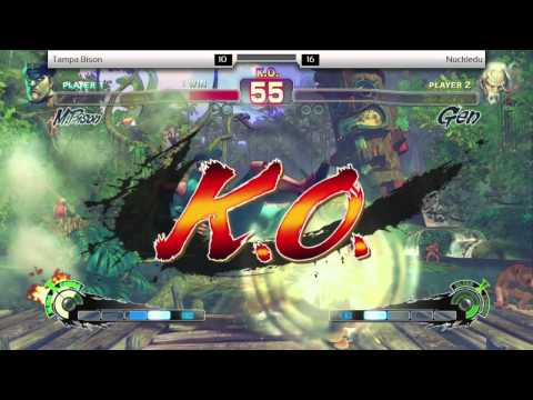 Nuckledu vs Tampa Bison vs Ibuki the Dog featuring Poverty Max and girlfriend Juri