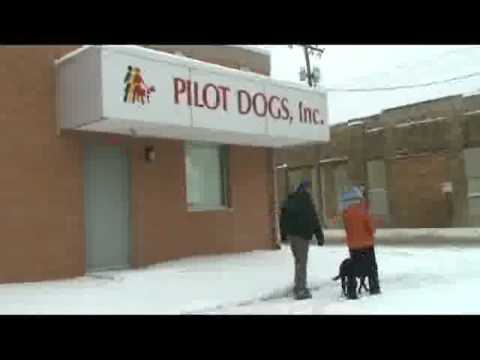 Central Ohio Pilot Dogs