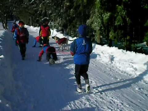 SKK Hovorčovice: Zimní soustředění 2009