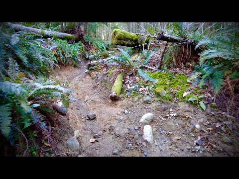 Hiking - (4k) Cable Line to West Tiger #3, #2 & #1 - Issaquah, WA