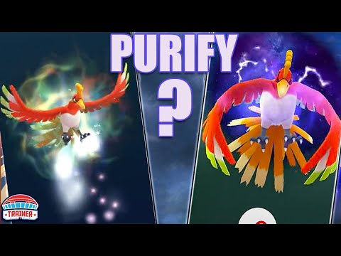 SHOULD YOU PURIFY?! *APEX SHADOW* LUGIA & HO-OH RANKINGS | Pokémon GO