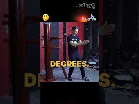 Wing Chun Technique Glossary for Wooden Dummy Training  Part 19 #shorts