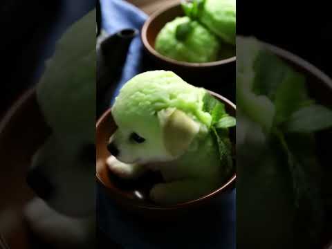 Mint ice cream, but make it puppy flavor 🍃🍨🐶#ai #icecream #magichourai #trending #pets