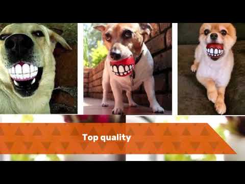 Funny Dog Teeth Toy 8/28/2019 22:7