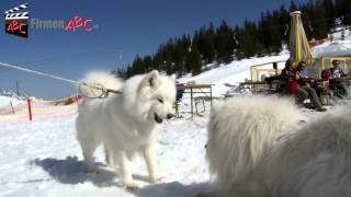 preview picture of video 'Berghotel und Restaurant Arthurhaus in Mühlbach am Hochkönig'