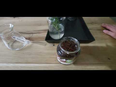 Sok od vrbe i njegova primena