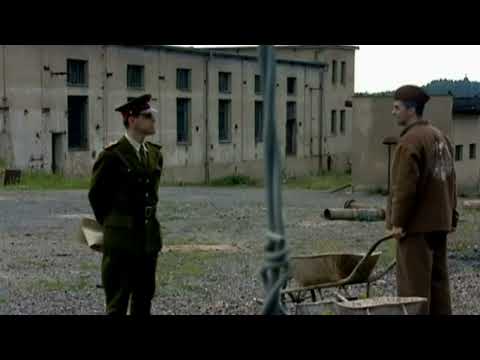 Zdivočelá země - Žabák a myšlenky