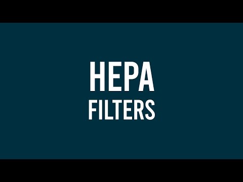 HEPA Filters: Why Do They Matter? | Sylvane